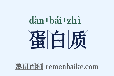 蛋白质是什么意思的图片